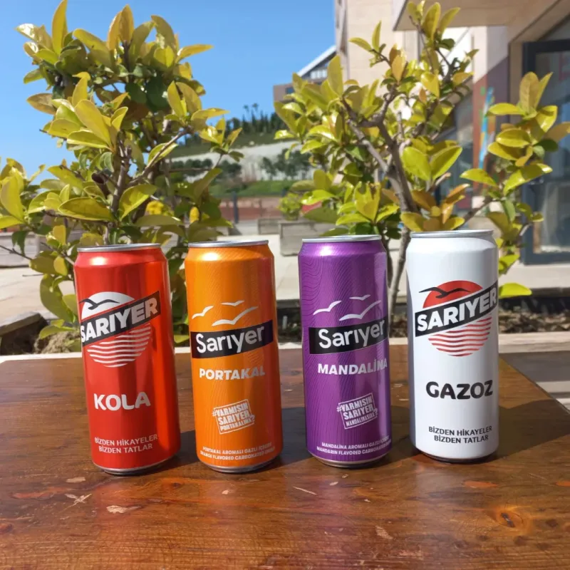 SARIYER KUTU ÇEŞİTLERİ