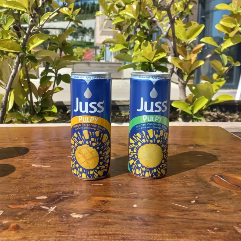 JUSS PARÇACIKLI MEYVE SUYU ÇEŞİTLERİ