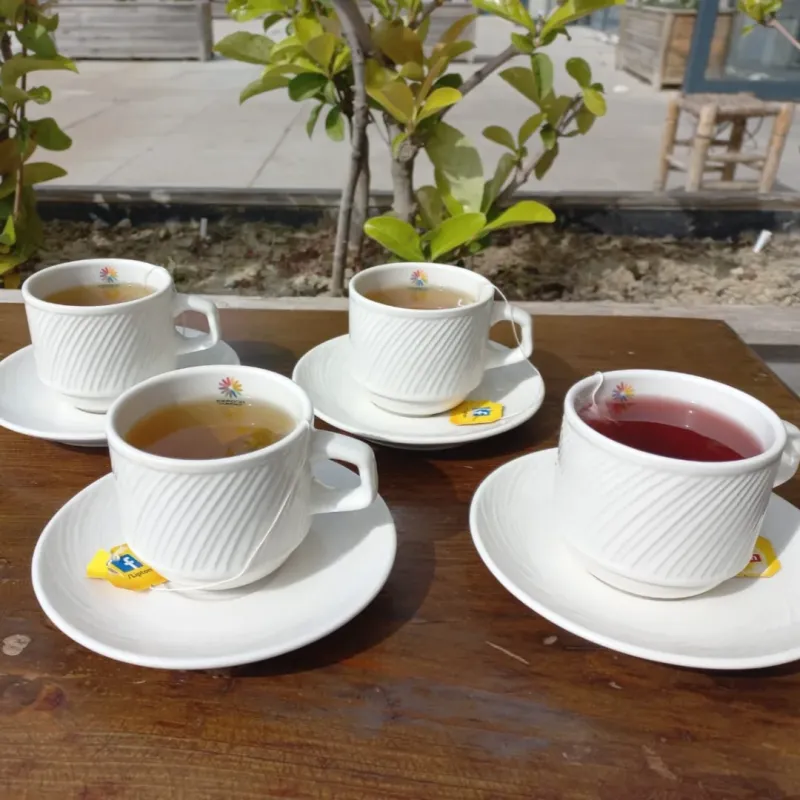 BİTKİ ÇAYI ÇEŞİTLERİ